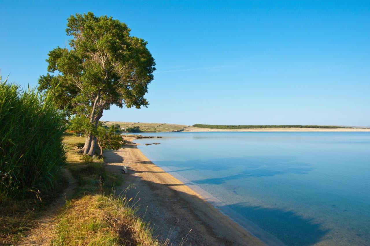 Apartment Family Friendly Apartments With A Swimming Pool Povljana, Pag - 244 *